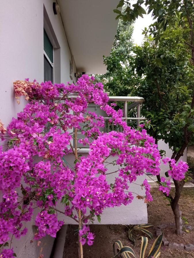 דירות Néa Péramos Sofia'S Garden מראה חיצוני תמונה