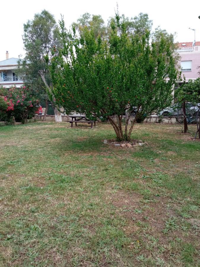דירות Néa Péramos Sofia'S Garden מראה חיצוני תמונה